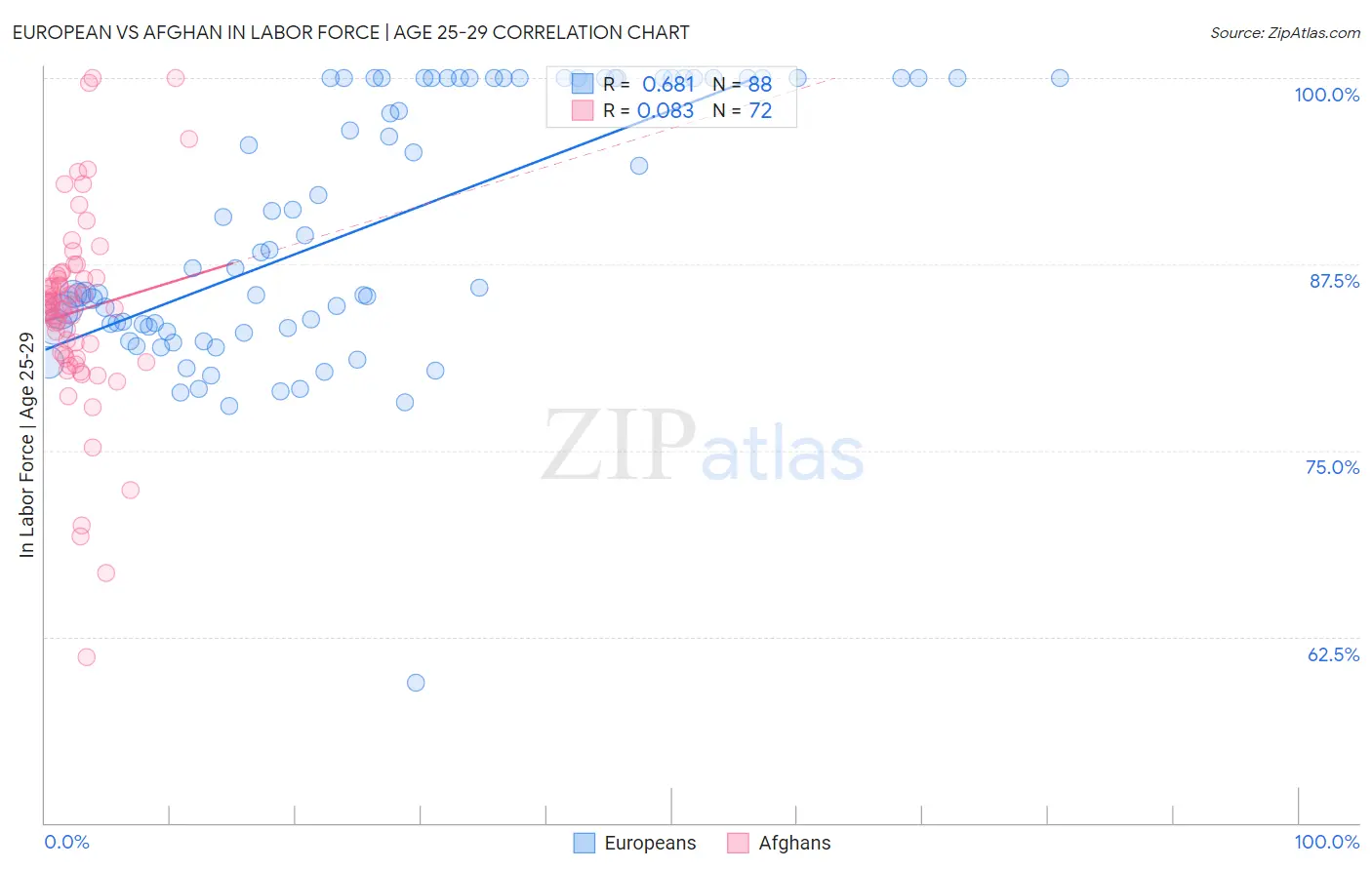 European vs Afghan In Labor Force | Age 25-29