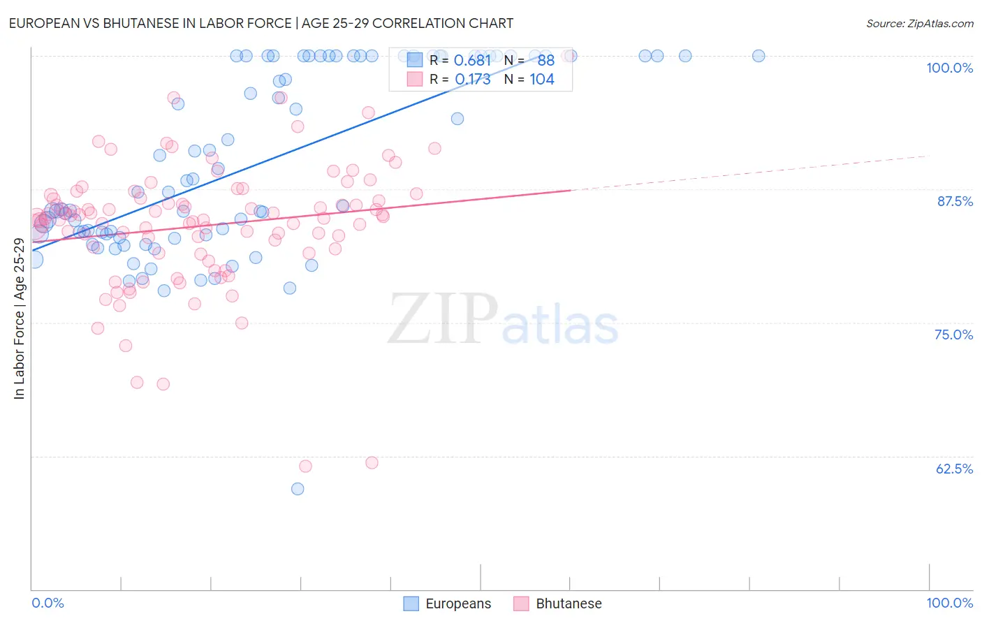 European vs Bhutanese In Labor Force | Age 25-29