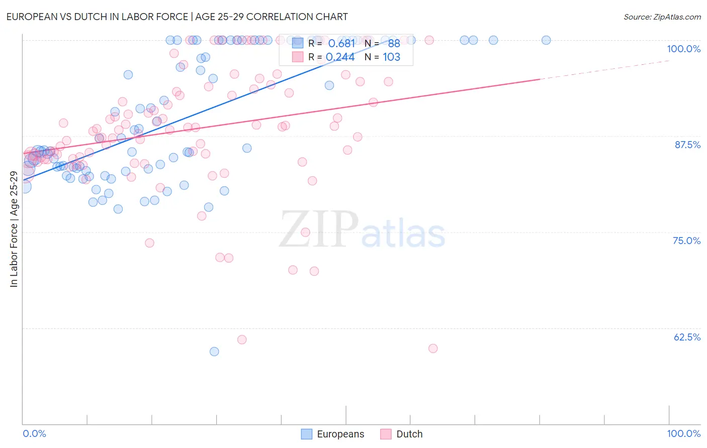 European vs Dutch In Labor Force | Age 25-29