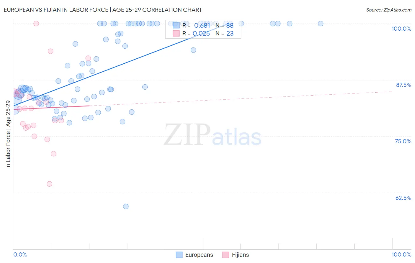 European vs Fijian In Labor Force | Age 25-29