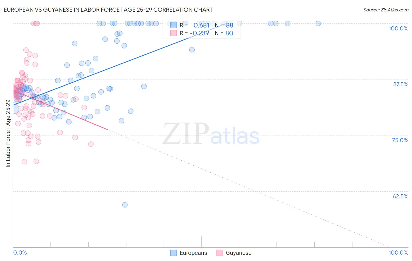 European vs Guyanese In Labor Force | Age 25-29