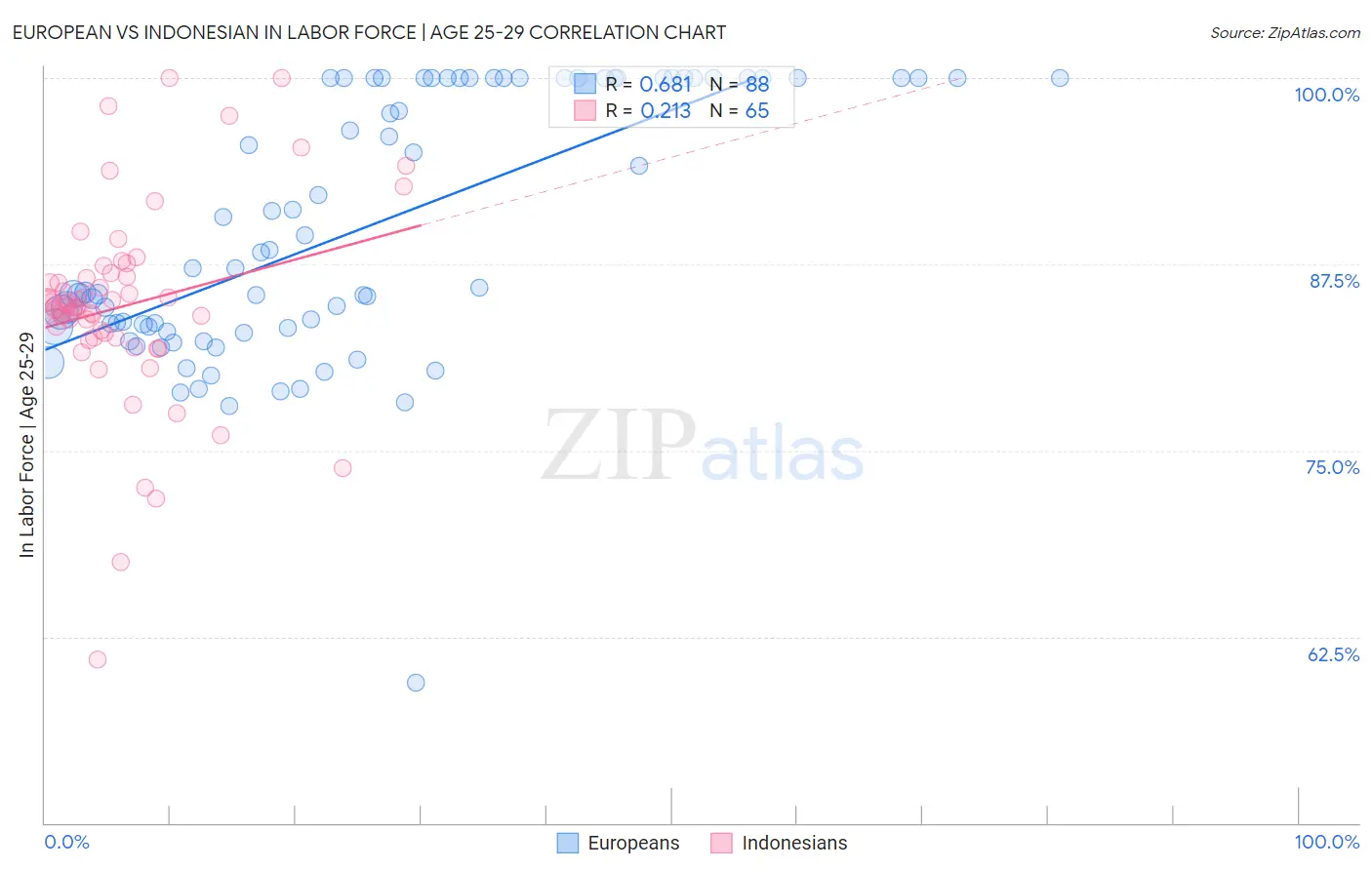 European vs Indonesian In Labor Force | Age 25-29