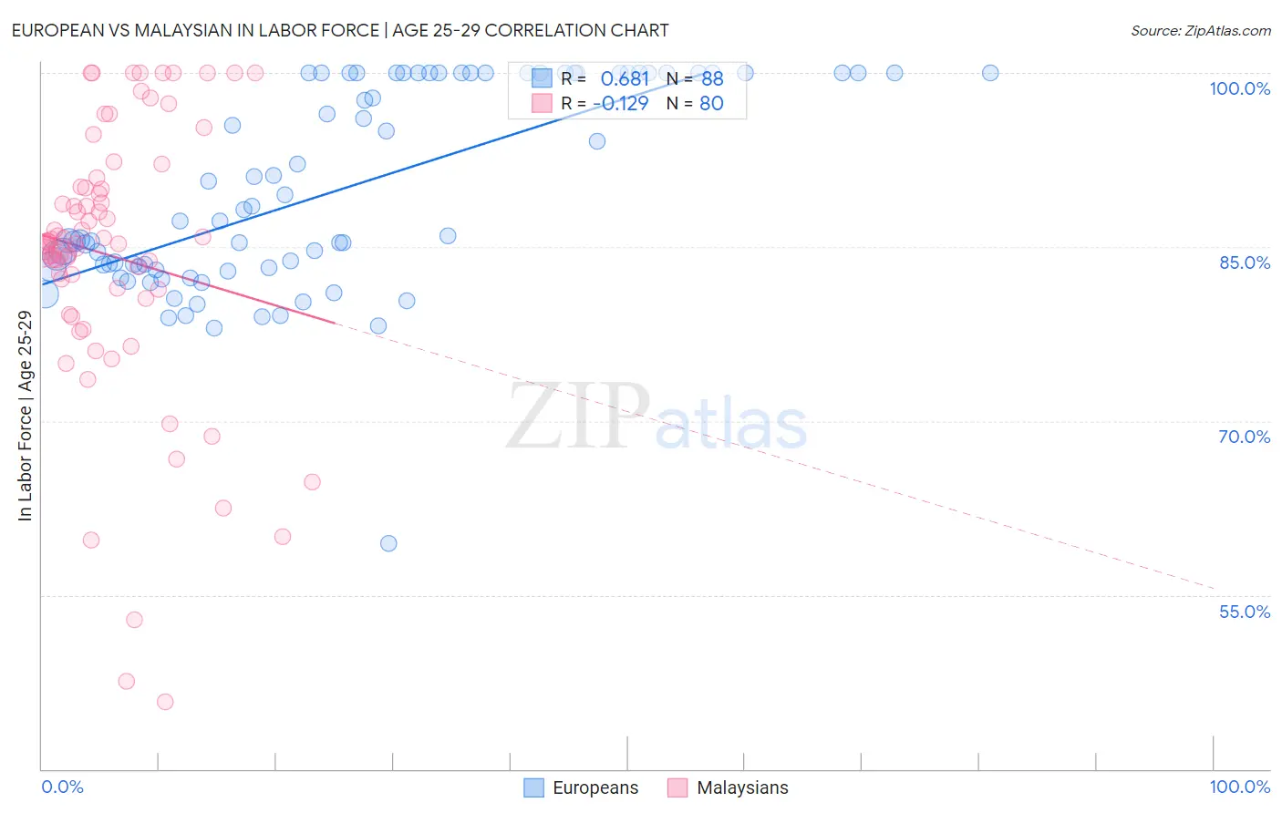 European vs Malaysian In Labor Force | Age 25-29