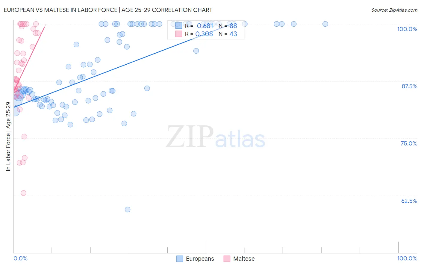 European vs Maltese In Labor Force | Age 25-29