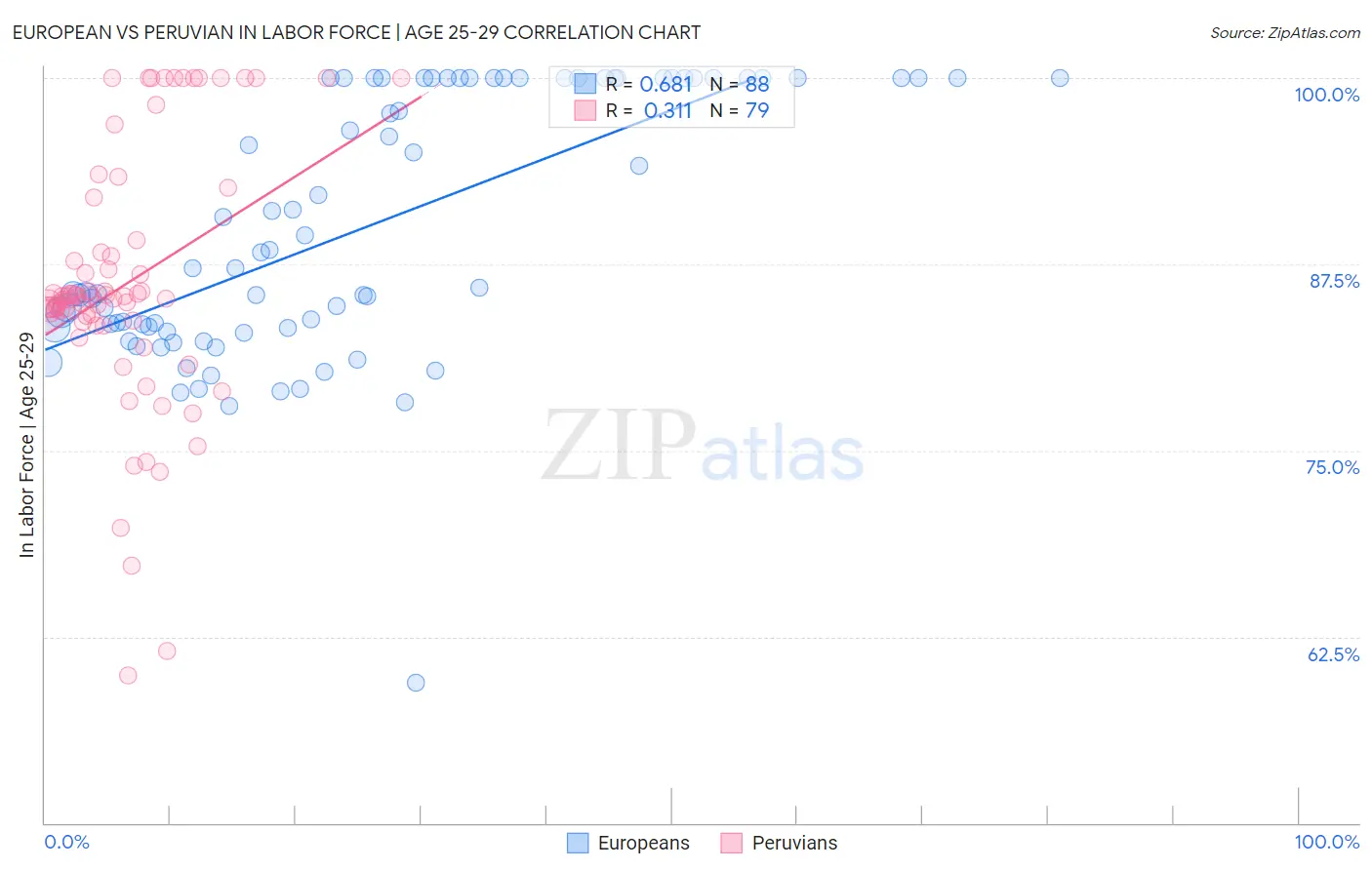 European vs Peruvian In Labor Force | Age 25-29