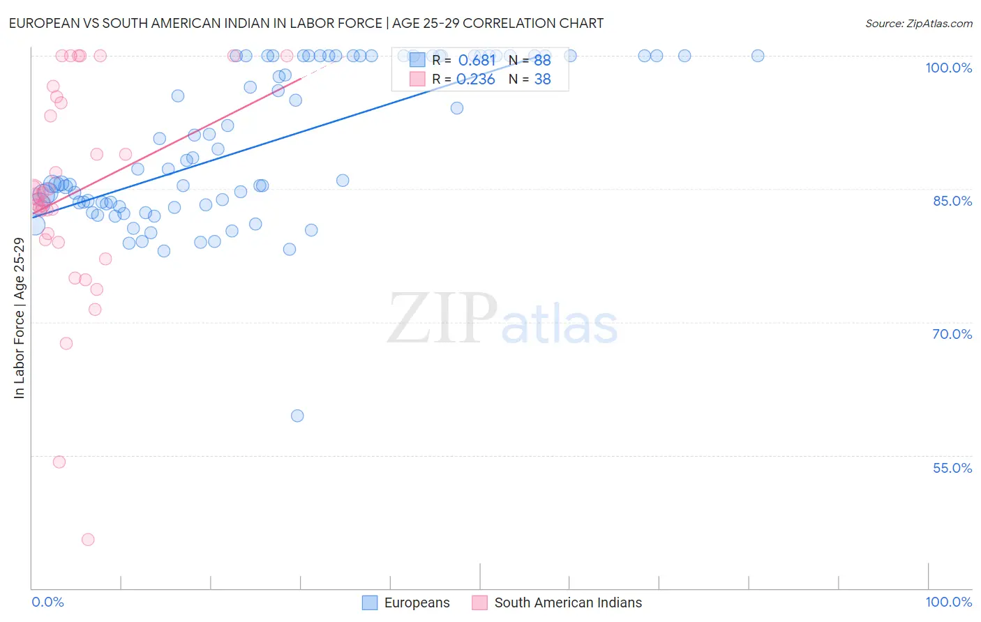 European vs South American Indian In Labor Force | Age 25-29