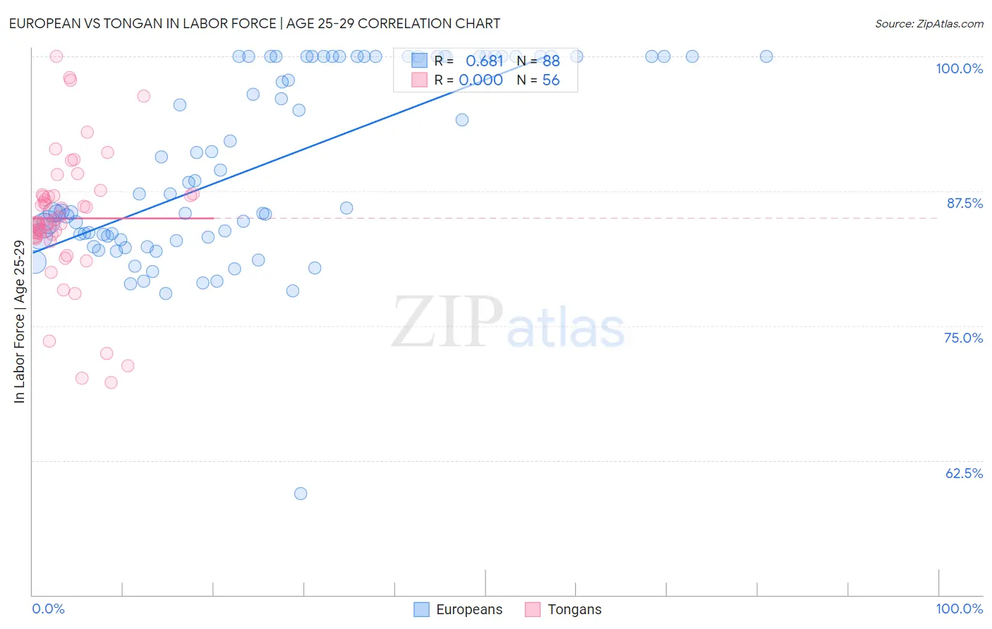 European vs Tongan In Labor Force | Age 25-29