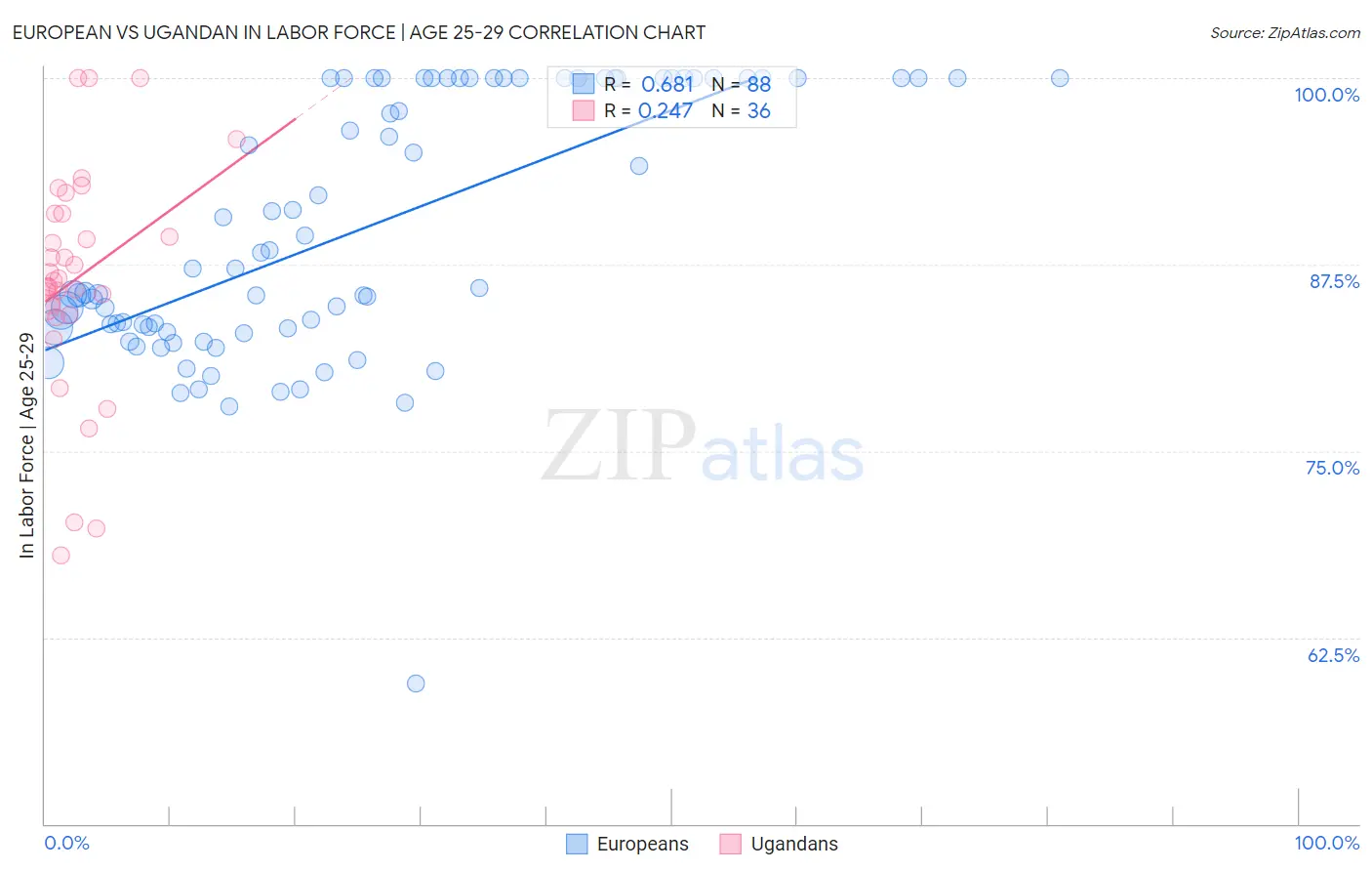 European vs Ugandan In Labor Force | Age 25-29