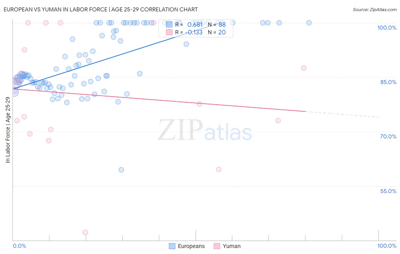 European vs Yuman In Labor Force | Age 25-29