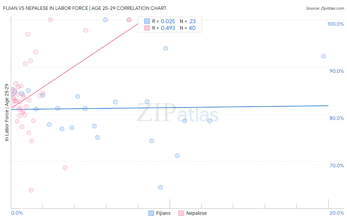 Fijian vs Nepalese In Labor Force | Age 25-29