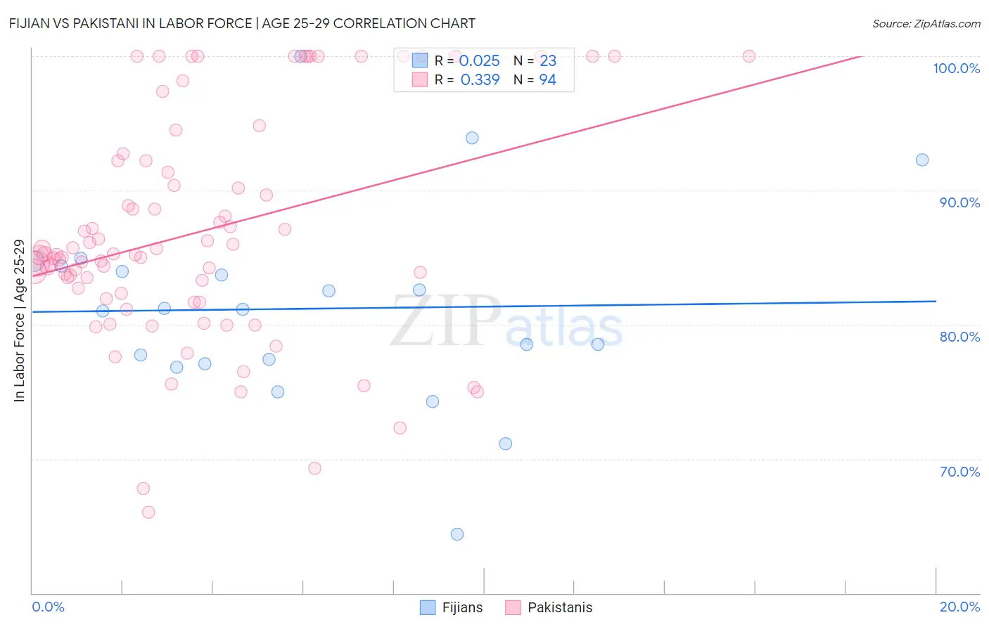 Fijian vs Pakistani In Labor Force | Age 25-29