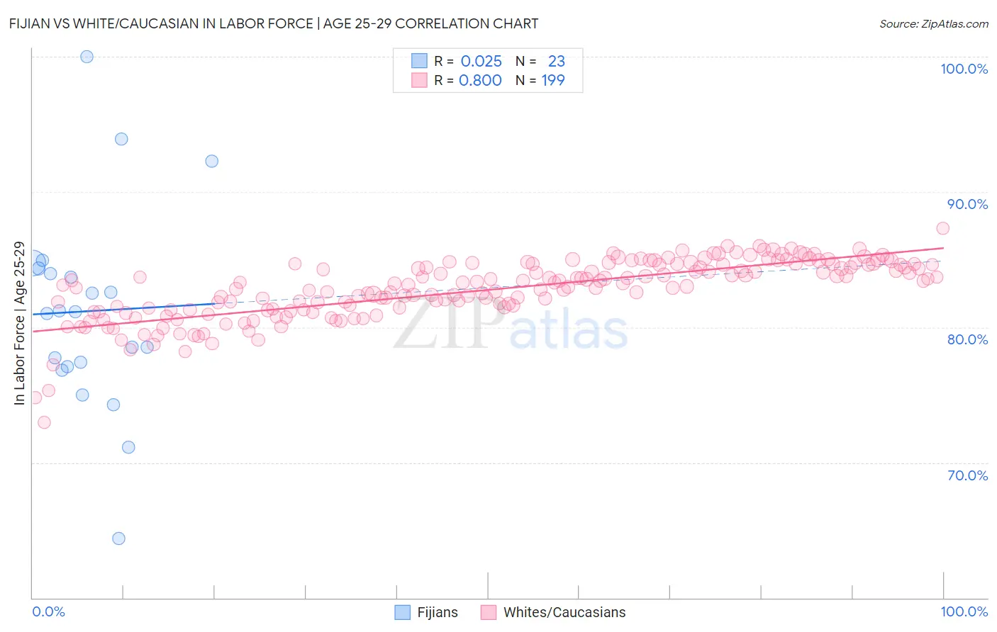 Fijian vs White/Caucasian In Labor Force | Age 25-29