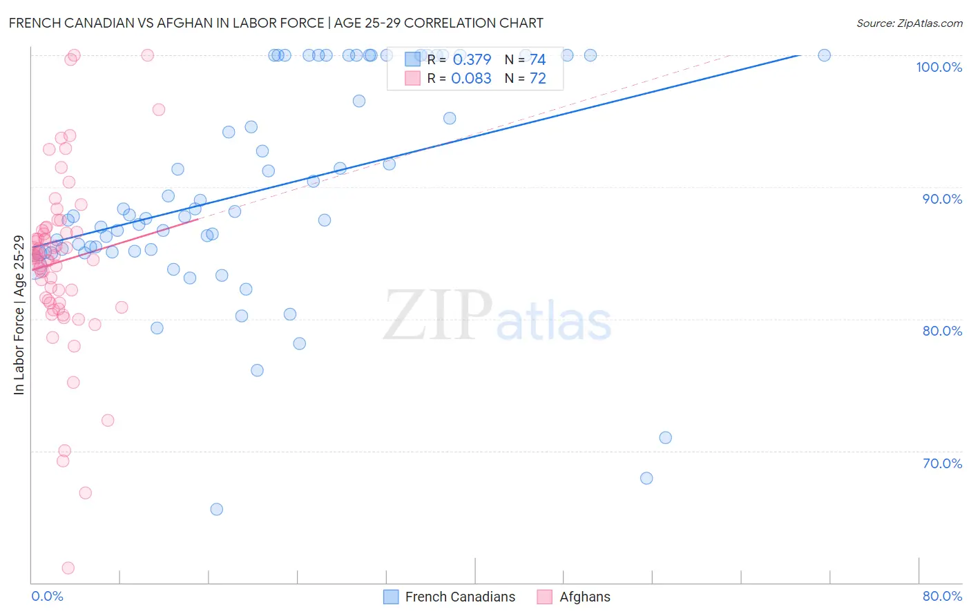 French Canadian vs Afghan In Labor Force | Age 25-29