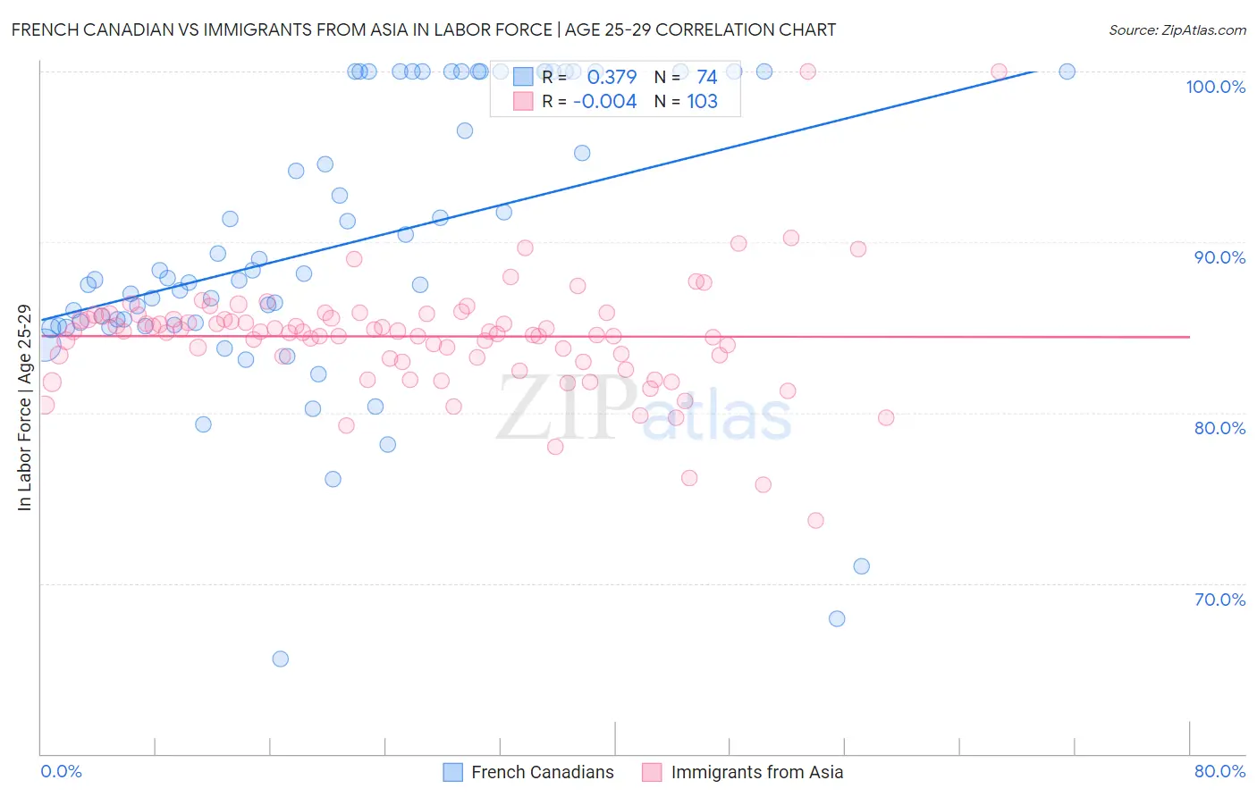 French Canadian vs Immigrants from Asia In Labor Force | Age 25-29