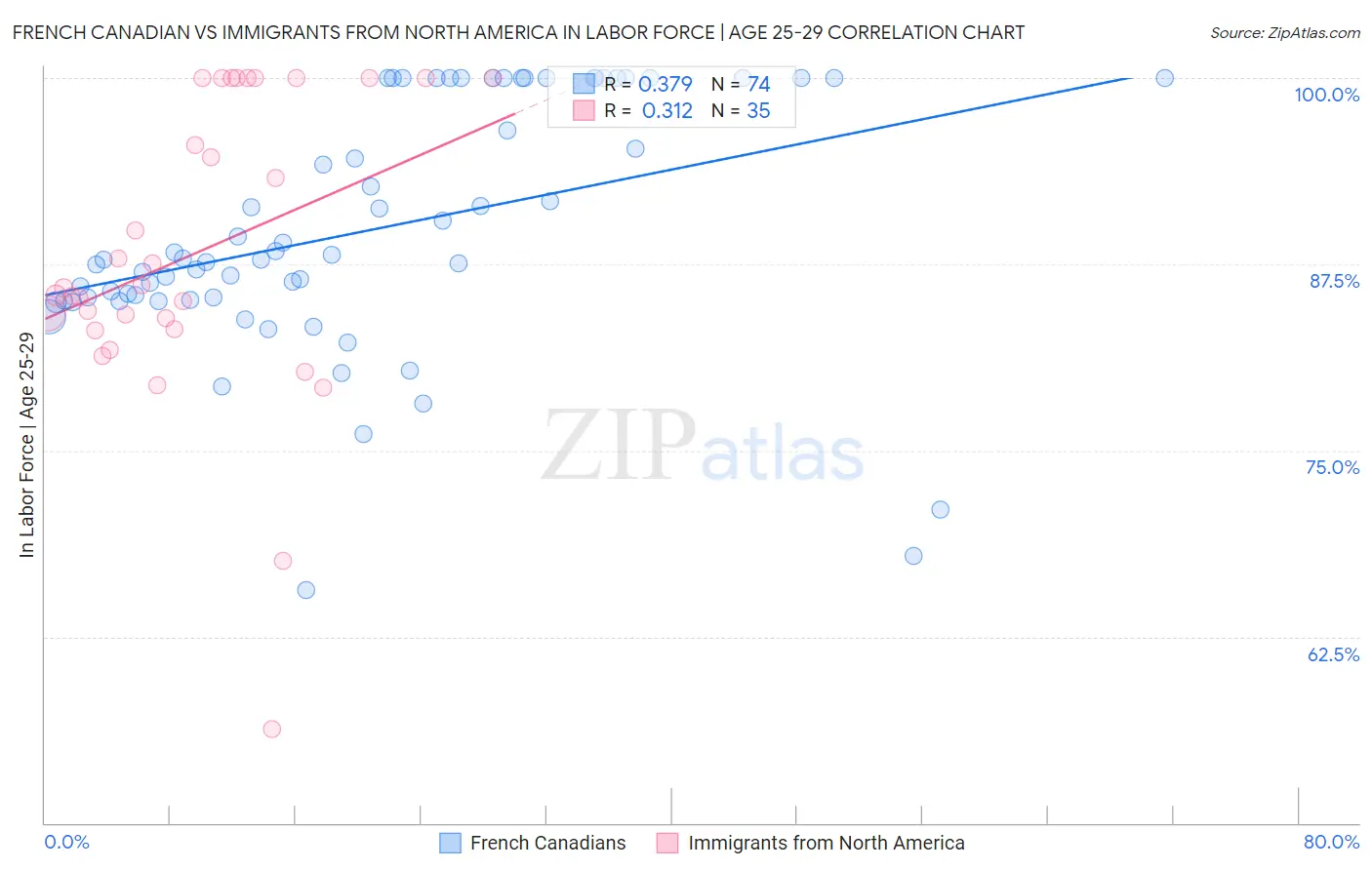 French Canadian vs Immigrants from North America In Labor Force | Age 25-29