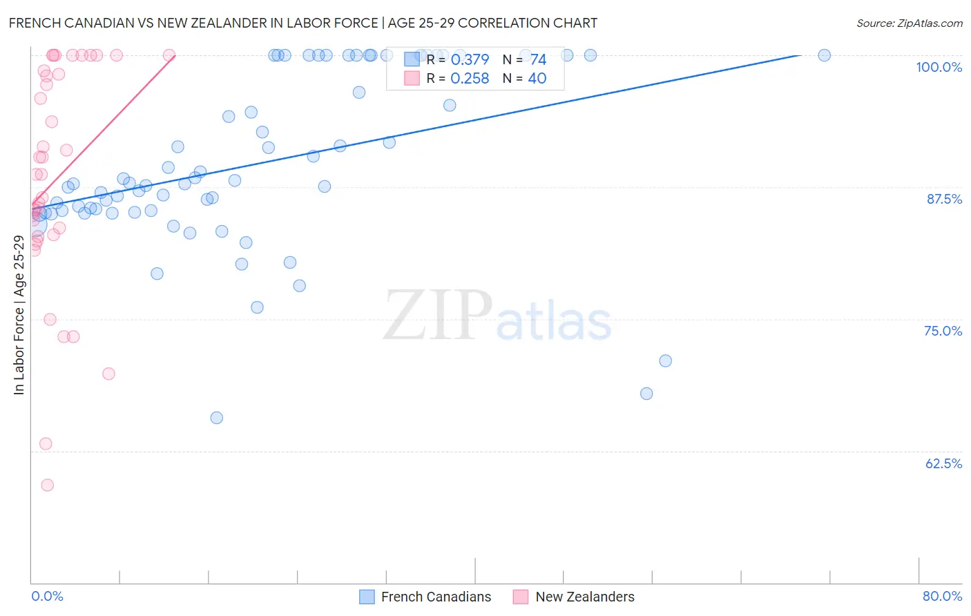 French Canadian vs New Zealander In Labor Force | Age 25-29