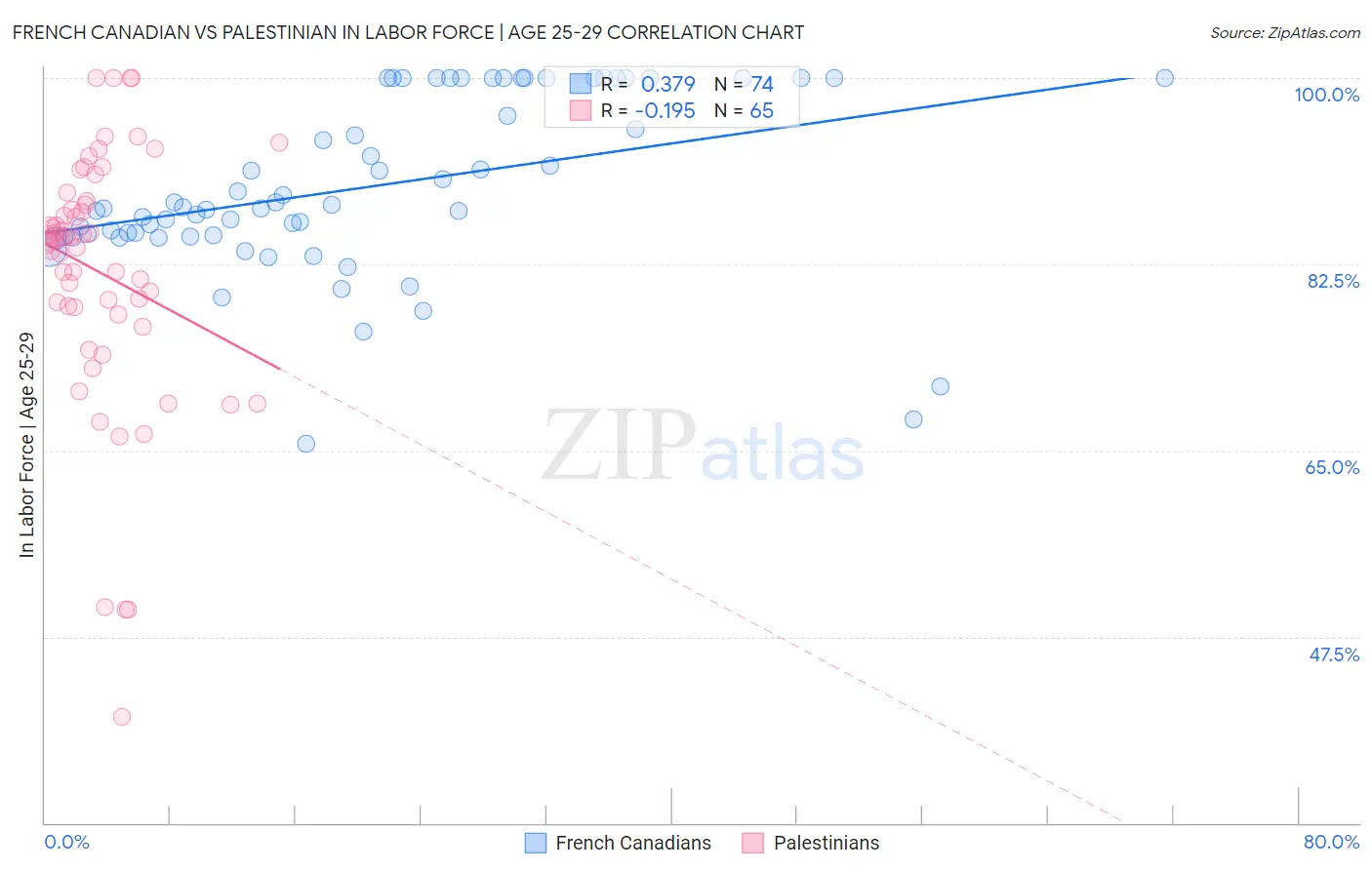 French Canadian vs Palestinian In Labor Force | Age 25-29