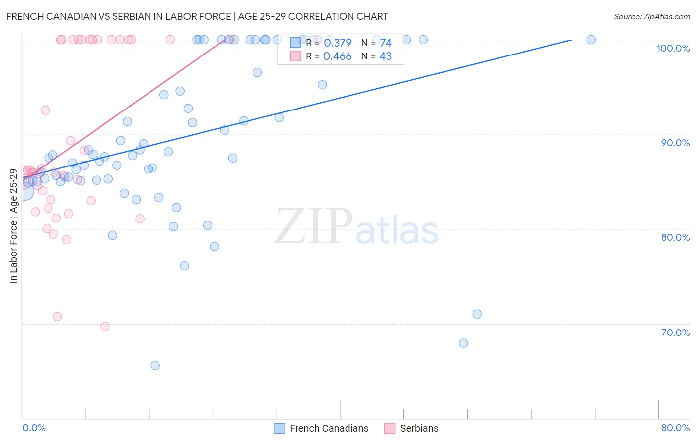 French Canadian vs Serbian In Labor Force | Age 25-29