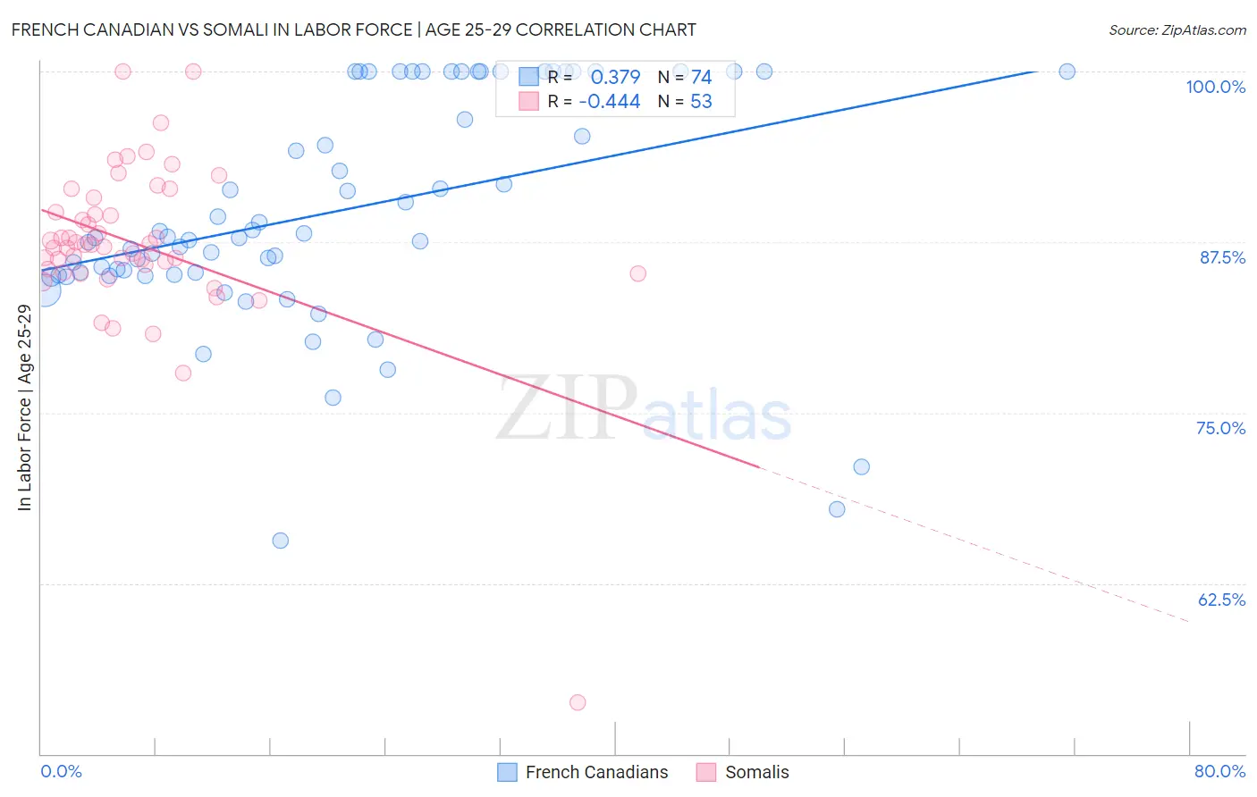 French Canadian vs Somali In Labor Force | Age 25-29