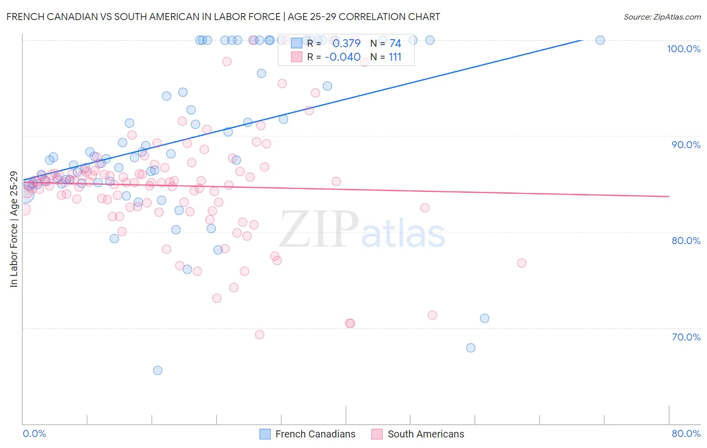 French Canadian vs South American In Labor Force | Age 25-29