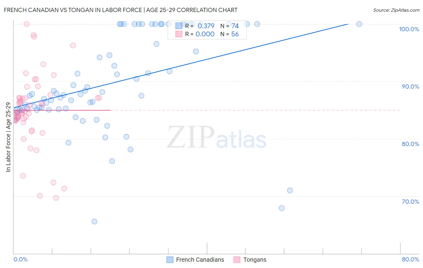 French Canadian vs Tongan In Labor Force | Age 25-29