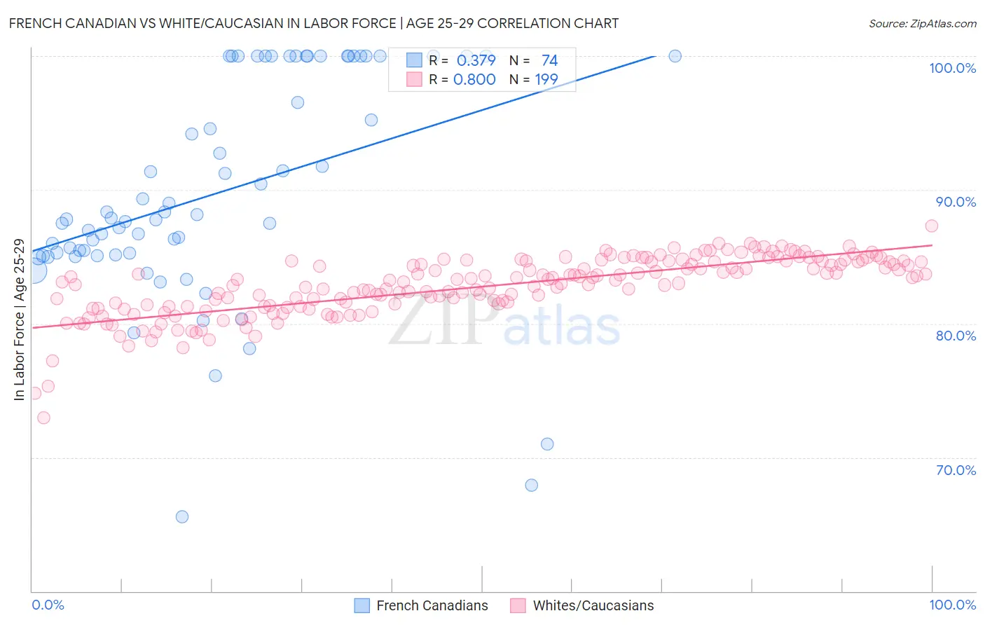 French Canadian vs White/Caucasian In Labor Force | Age 25-29