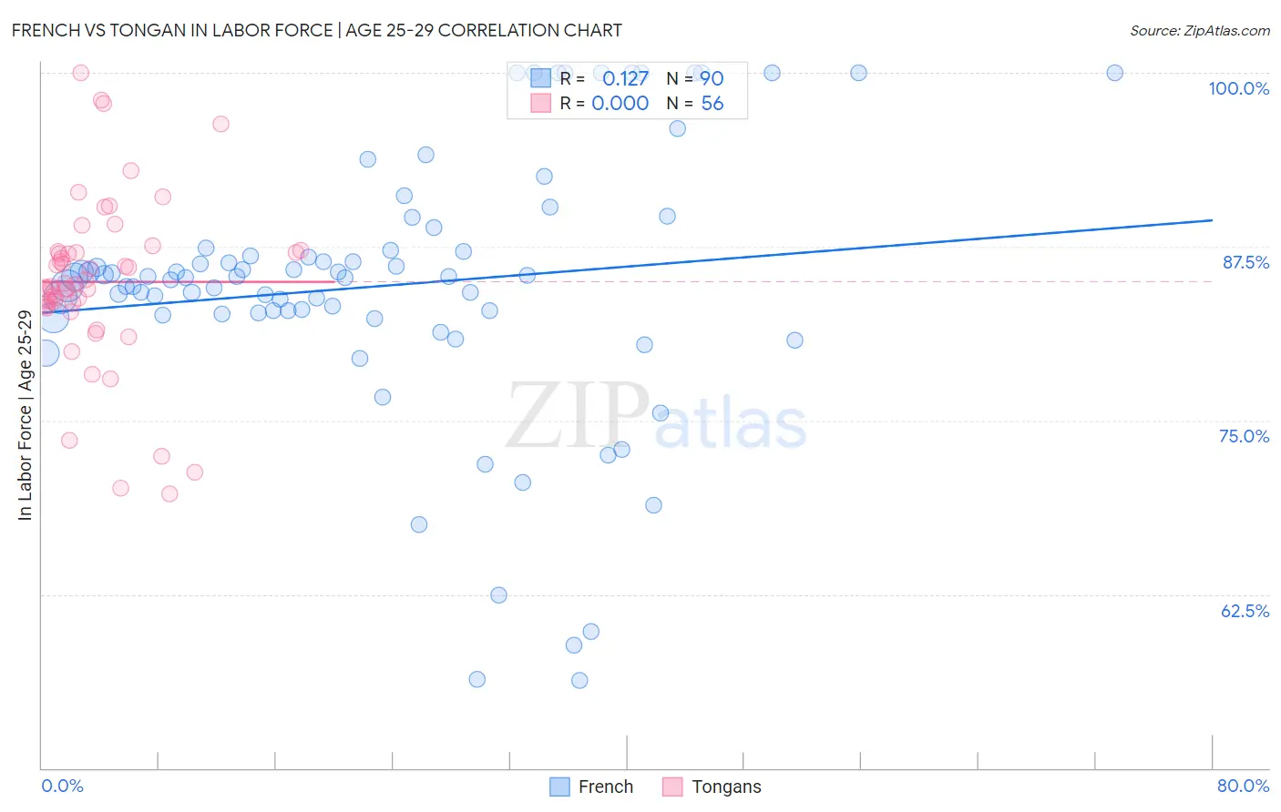 French vs Tongan In Labor Force | Age 25-29