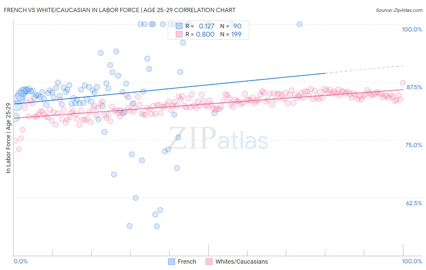 French vs White/Caucasian In Labor Force | Age 25-29