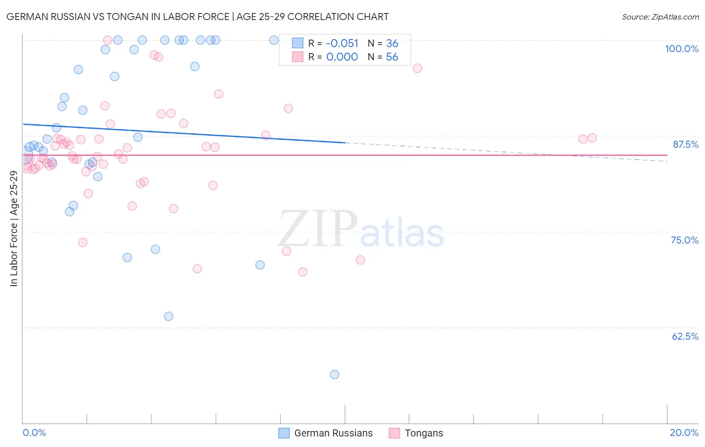 German Russian vs Tongan In Labor Force | Age 25-29