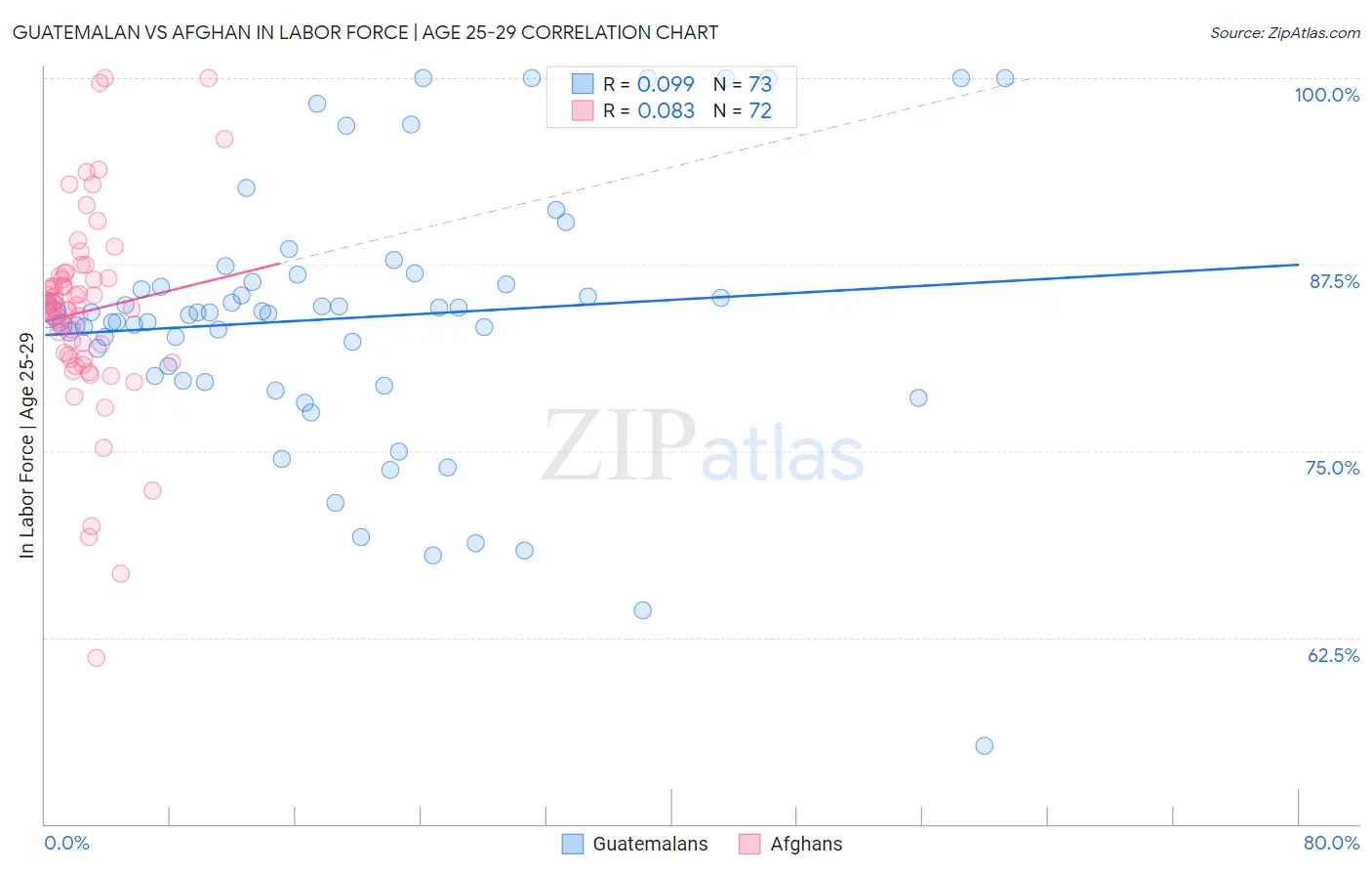 Guatemalan vs Afghan In Labor Force | Age 25-29