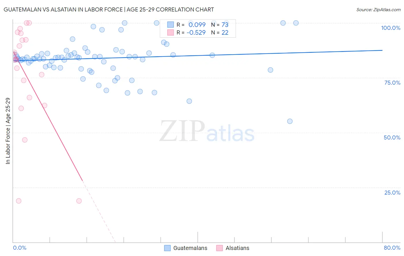 Guatemalan vs Alsatian In Labor Force | Age 25-29