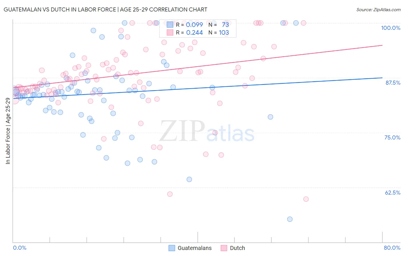 Guatemalan vs Dutch In Labor Force | Age 25-29