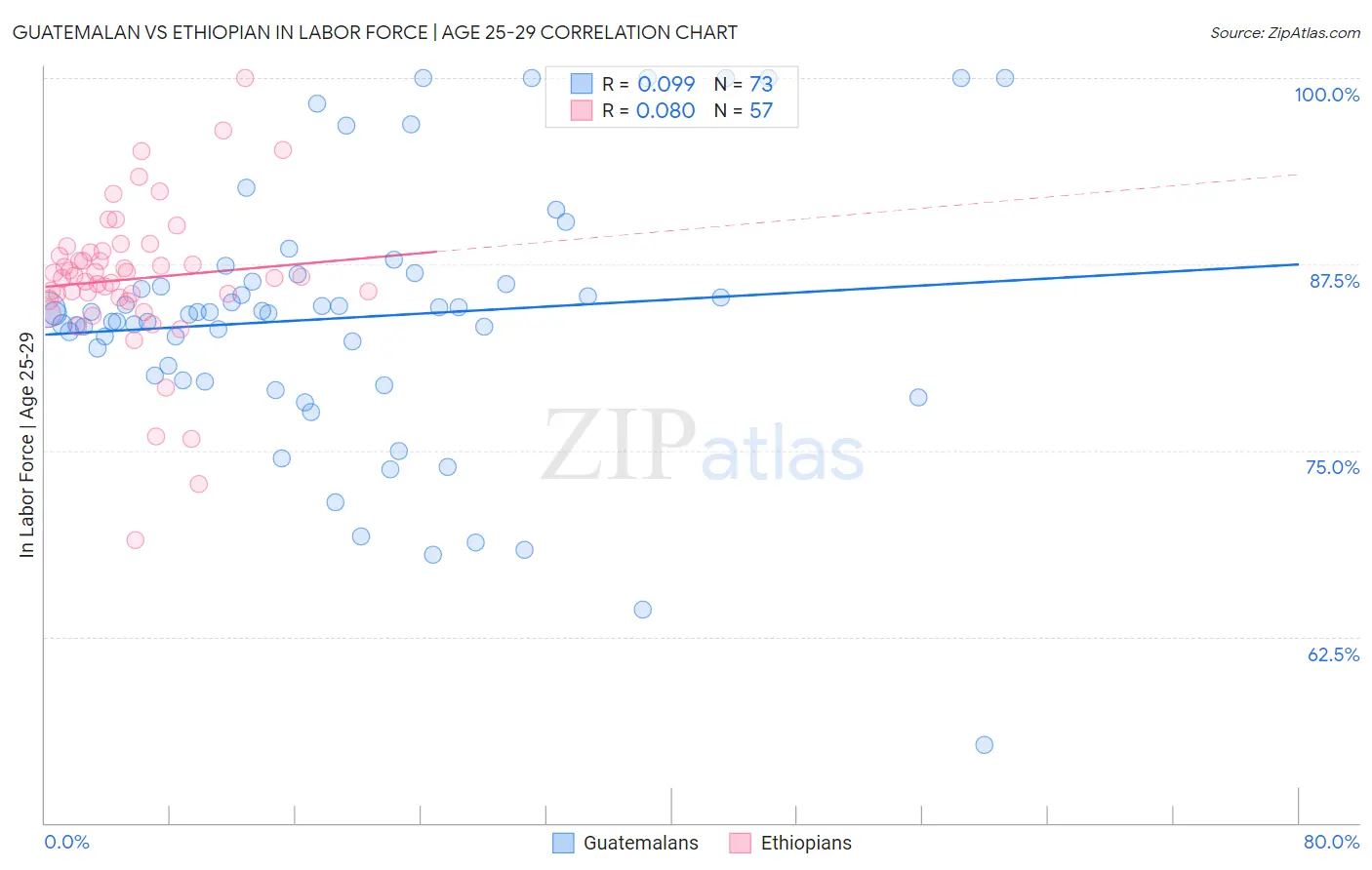 Guatemalan vs Ethiopian In Labor Force | Age 25-29