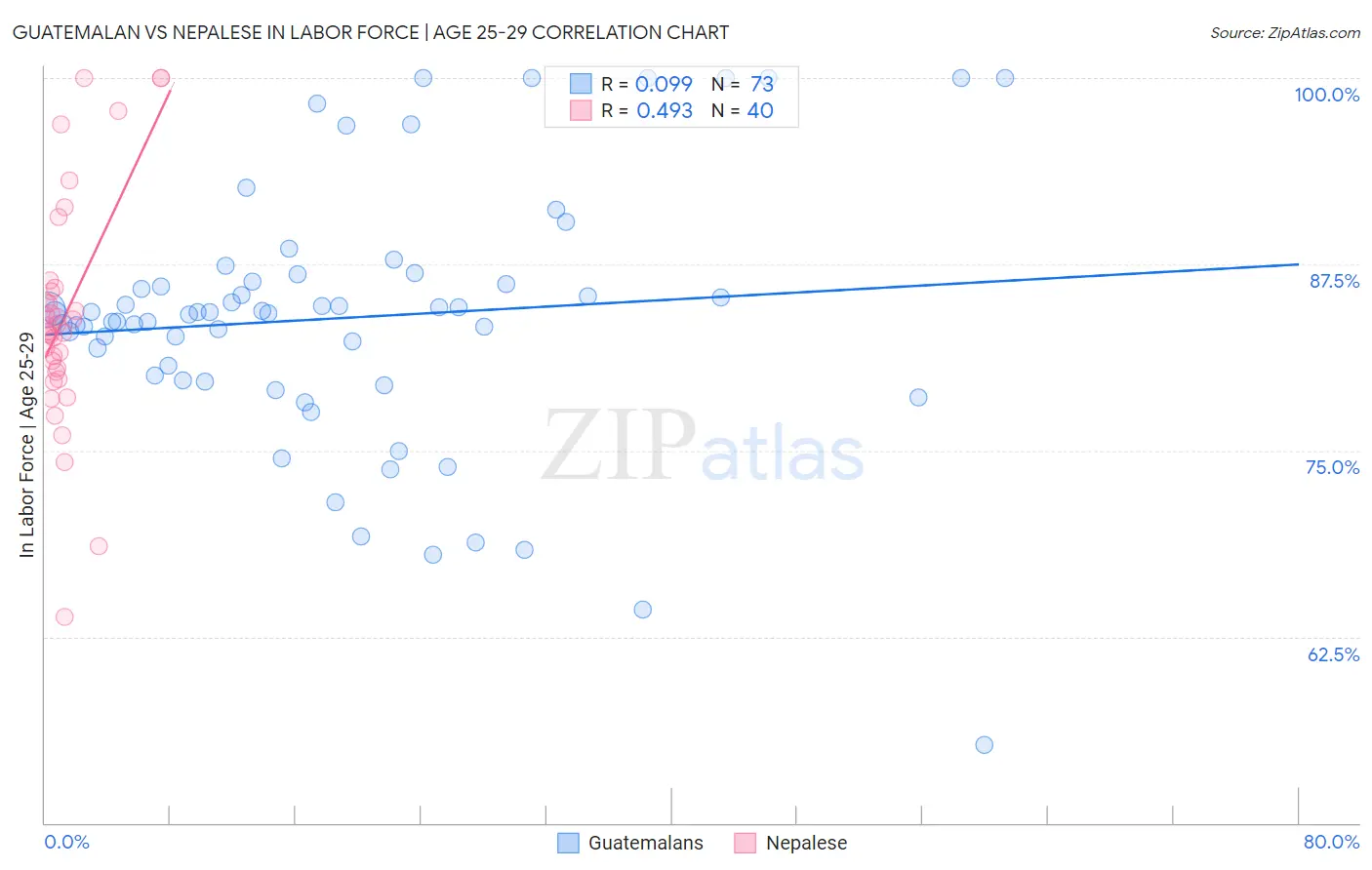 Guatemalan vs Nepalese In Labor Force | Age 25-29