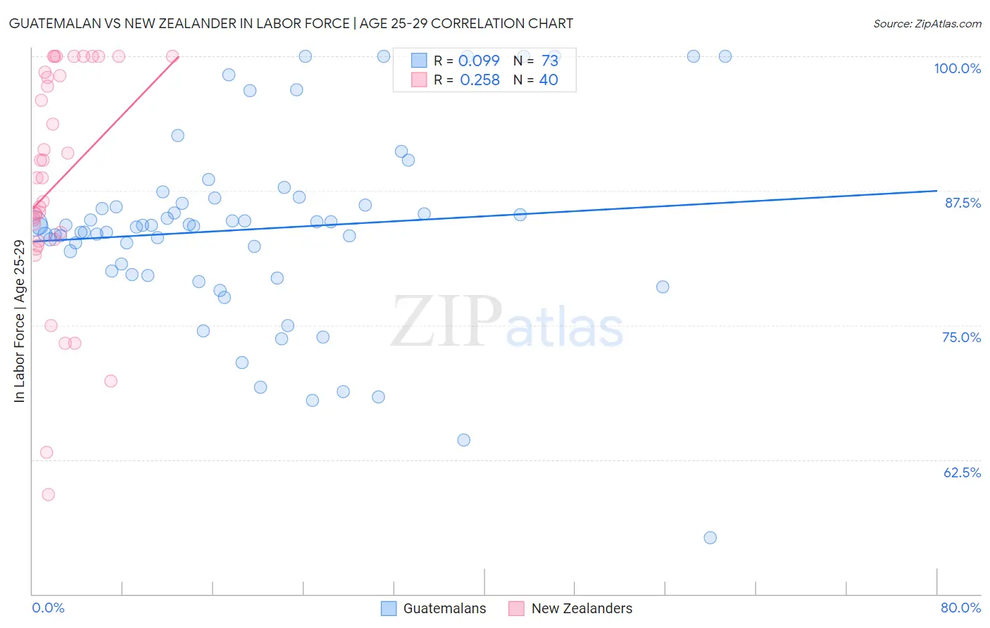 Guatemalan vs New Zealander In Labor Force | Age 25-29