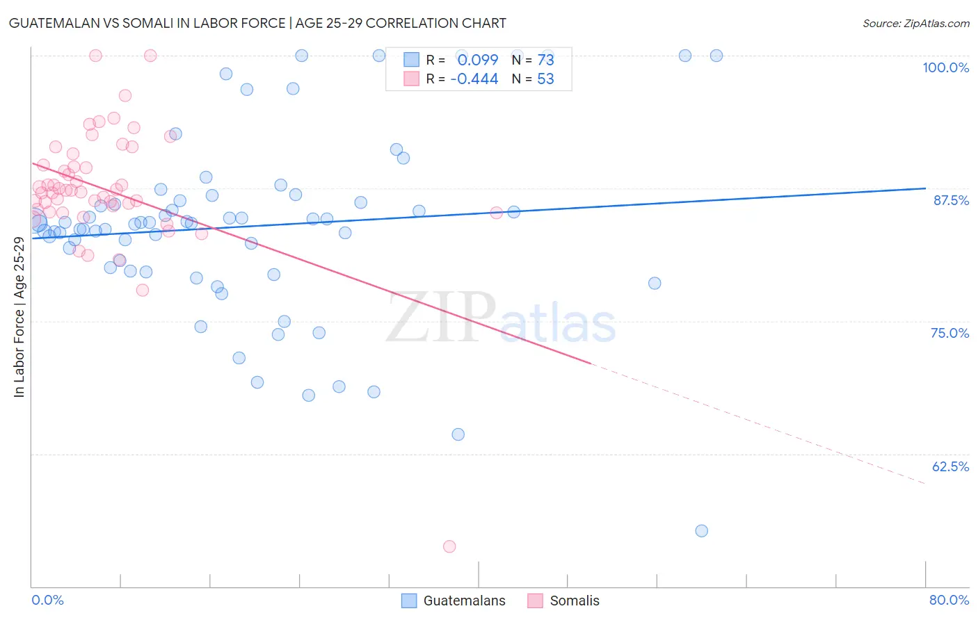 Guatemalan vs Somali In Labor Force | Age 25-29