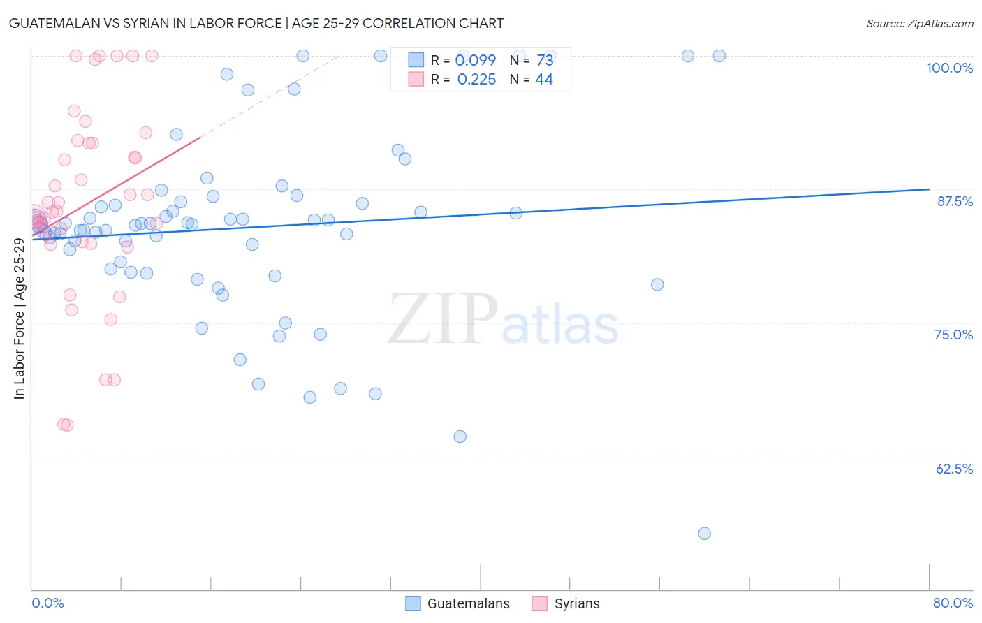 Guatemalan vs Syrian In Labor Force | Age 25-29