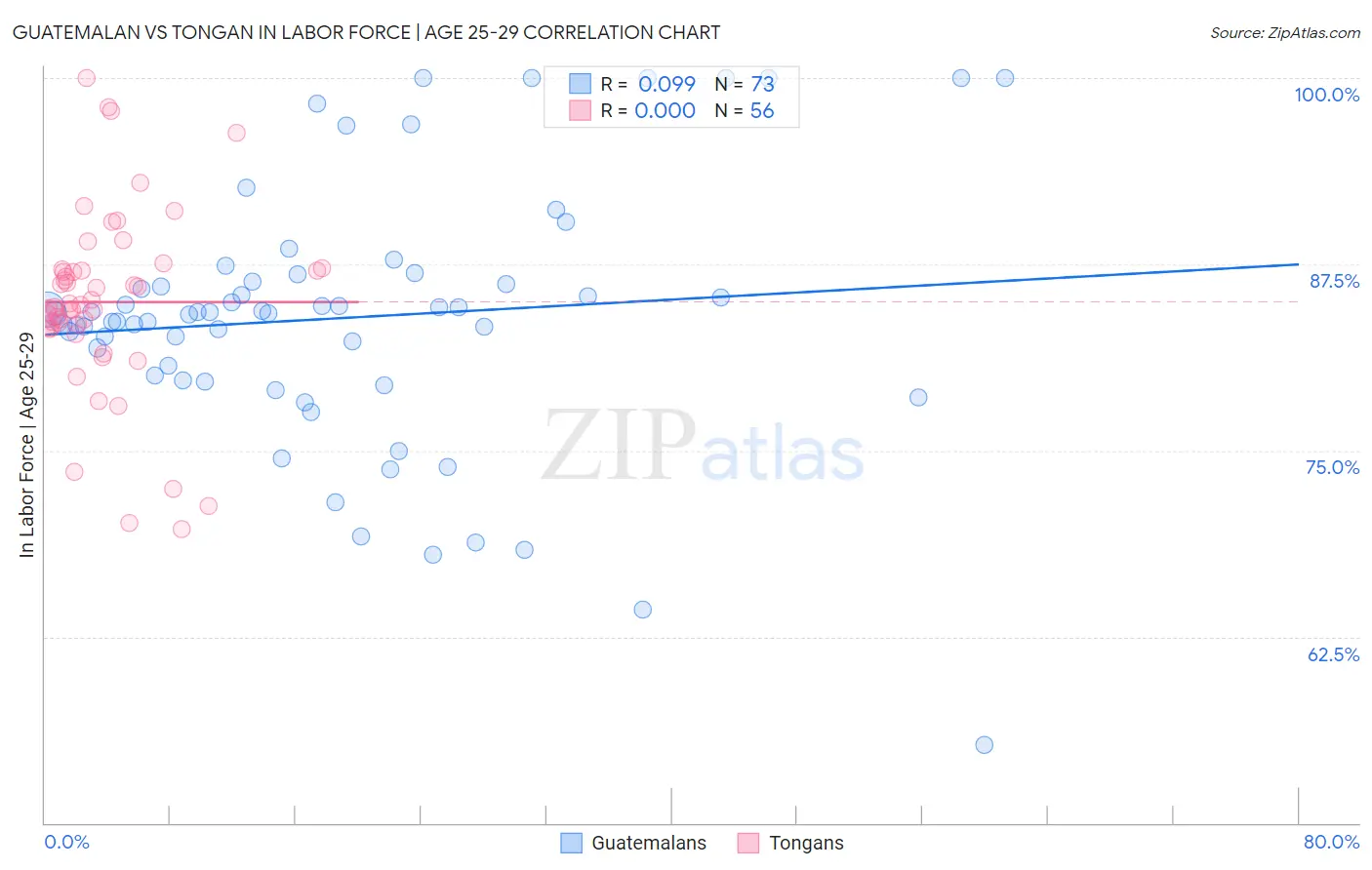 Guatemalan vs Tongan In Labor Force | Age 25-29