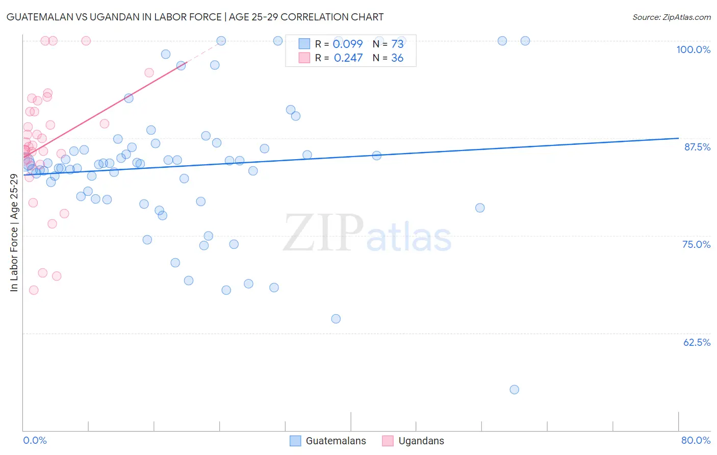 Guatemalan vs Ugandan In Labor Force | Age 25-29