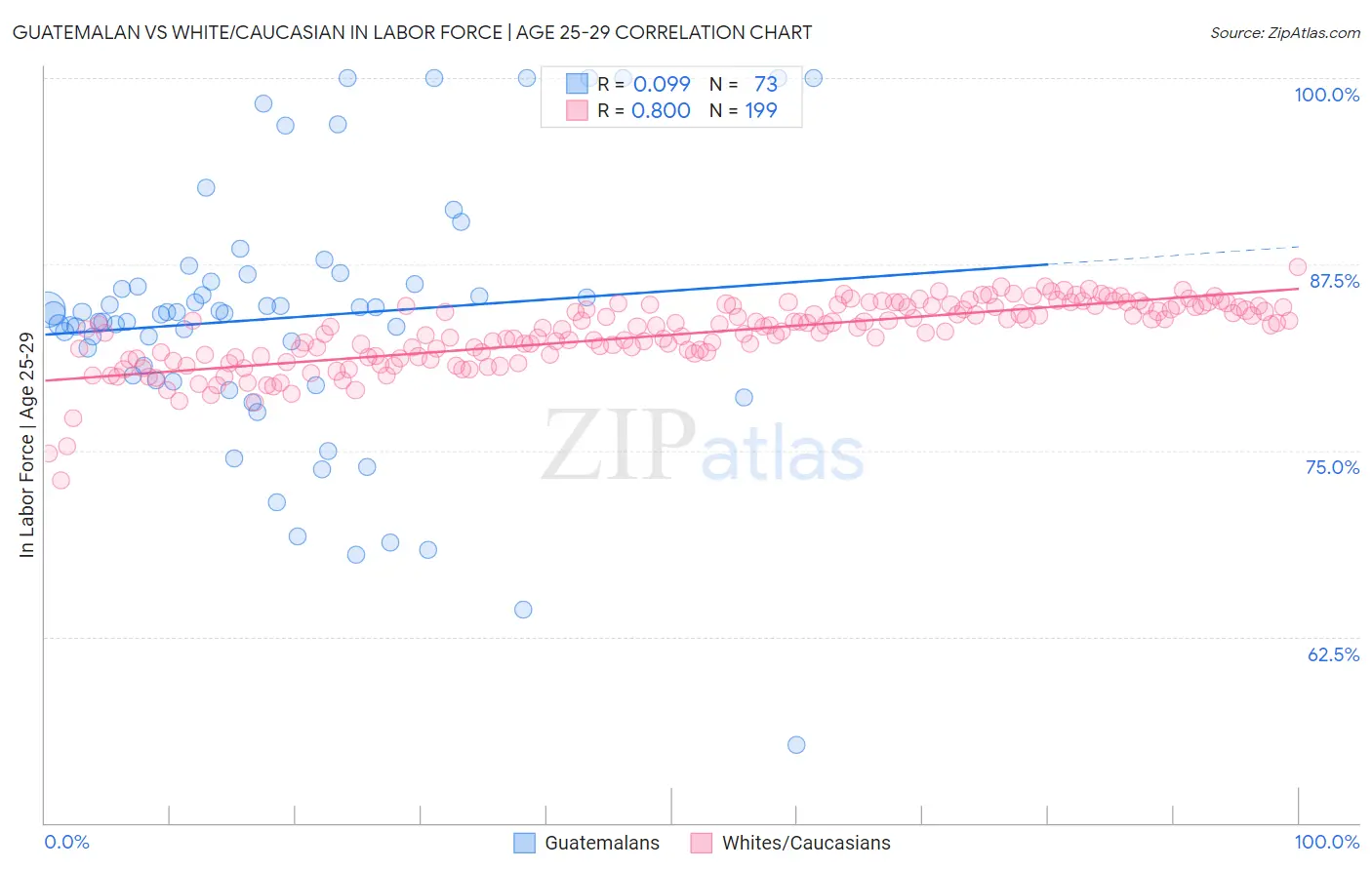 Guatemalan vs White/Caucasian In Labor Force | Age 25-29