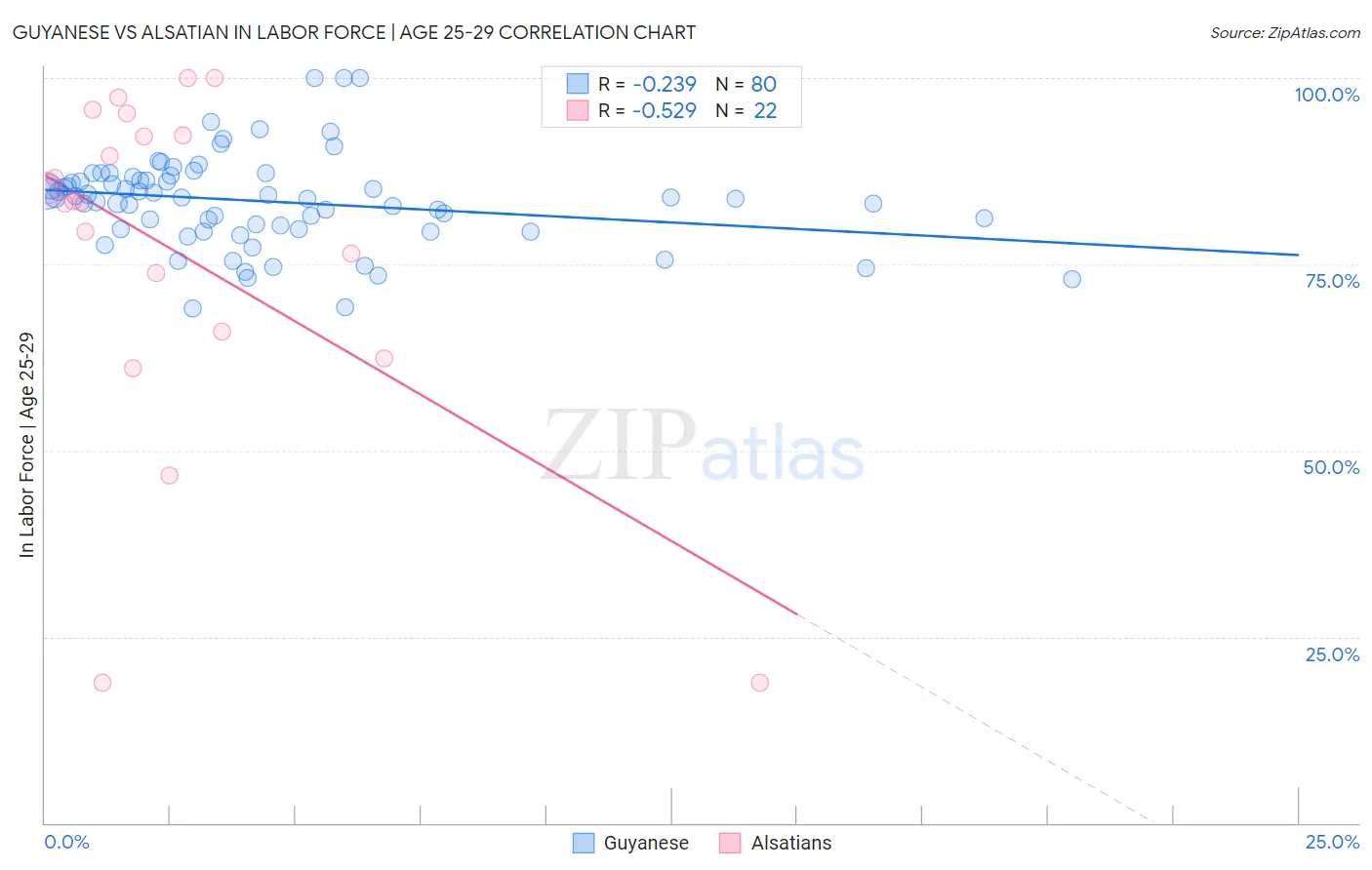 Guyanese vs Alsatian In Labor Force | Age 25-29