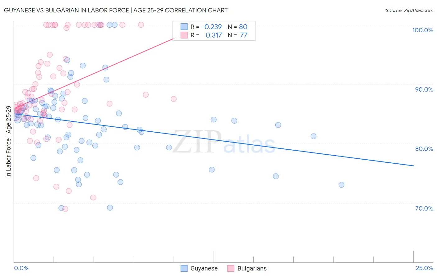 Guyanese vs Bulgarian In Labor Force | Age 25-29