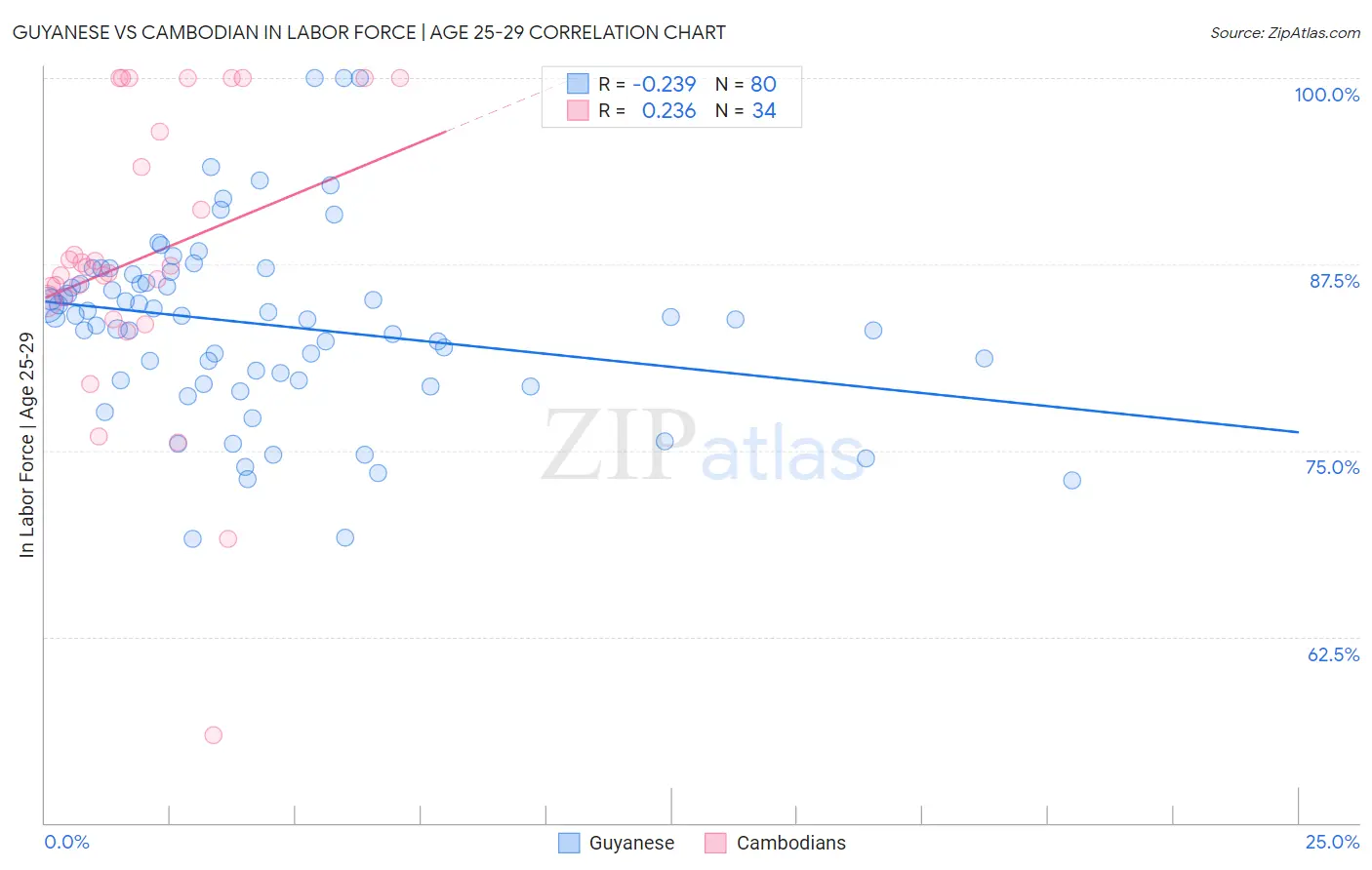 Guyanese vs Cambodian In Labor Force | Age 25-29