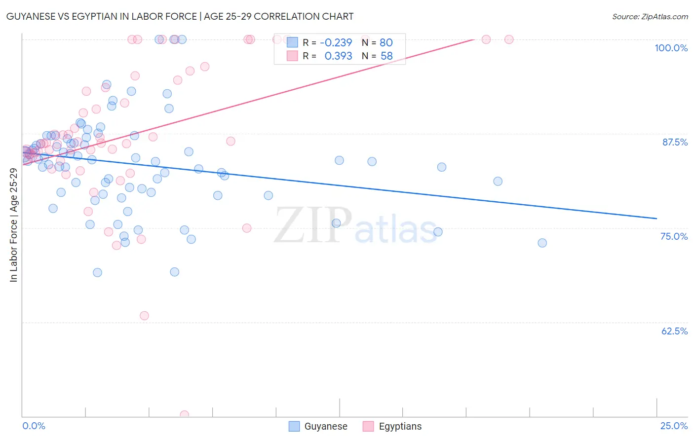 Guyanese vs Egyptian In Labor Force | Age 25-29