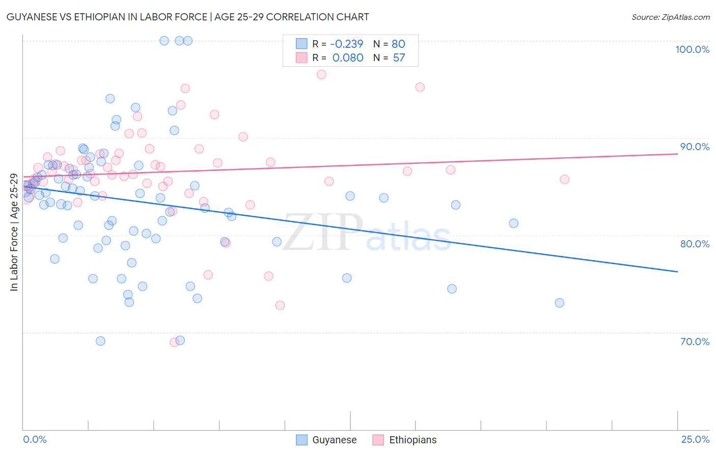 Guyanese vs Ethiopian In Labor Force | Age 25-29