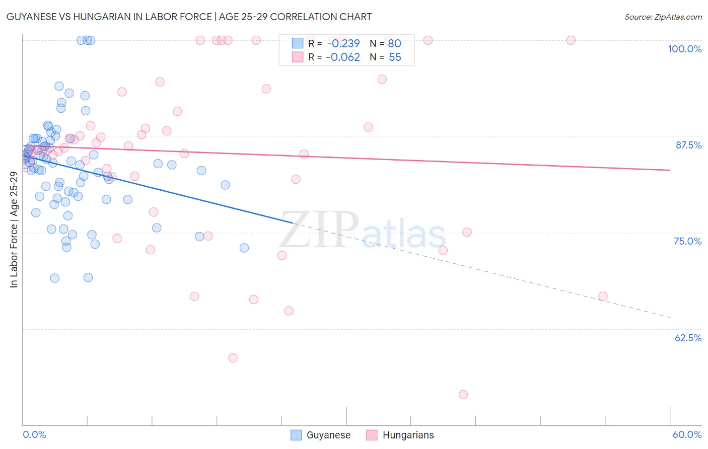 Guyanese vs Hungarian In Labor Force | Age 25-29
