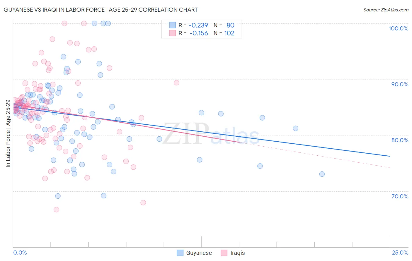 Guyanese vs Iraqi In Labor Force | Age 25-29
