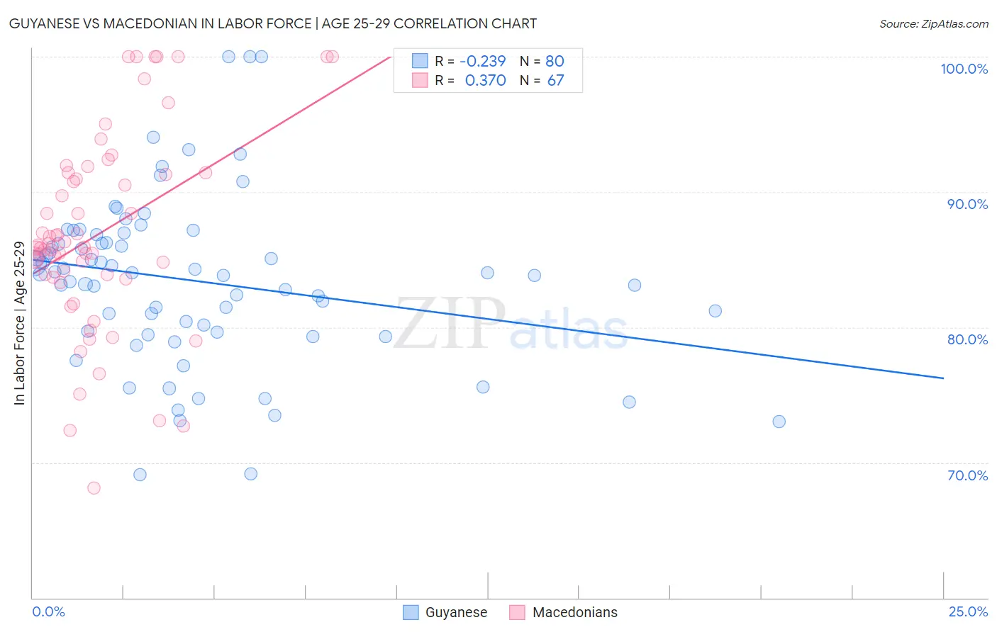 Guyanese vs Macedonian In Labor Force | Age 25-29