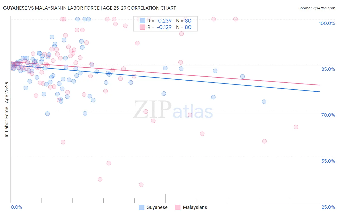 Guyanese vs Malaysian In Labor Force | Age 25-29