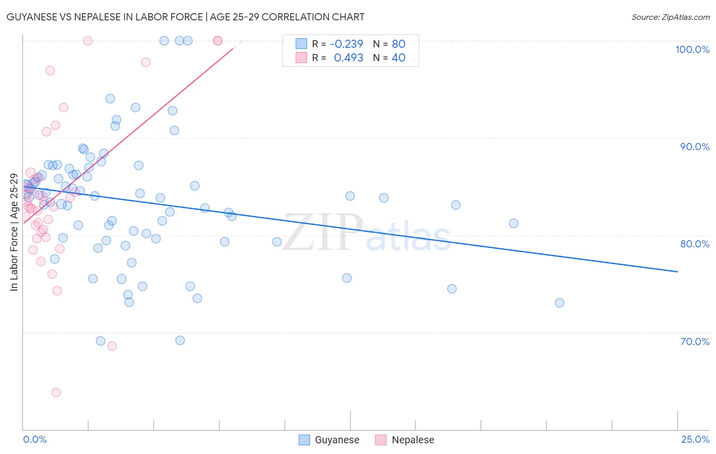 Guyanese vs Nepalese In Labor Force | Age 25-29